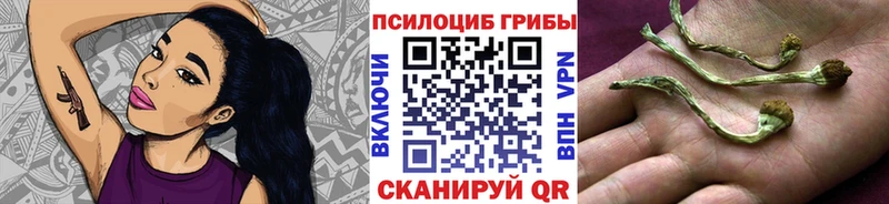 Псилоцибиновые грибы MAGIC MUSHROOMS  сколько стоит  Кумертау 