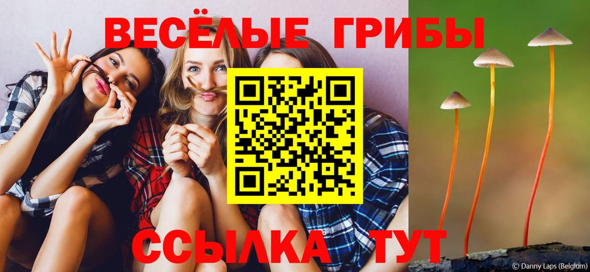 Галлюциногенные грибы прущие грибы Кумертау