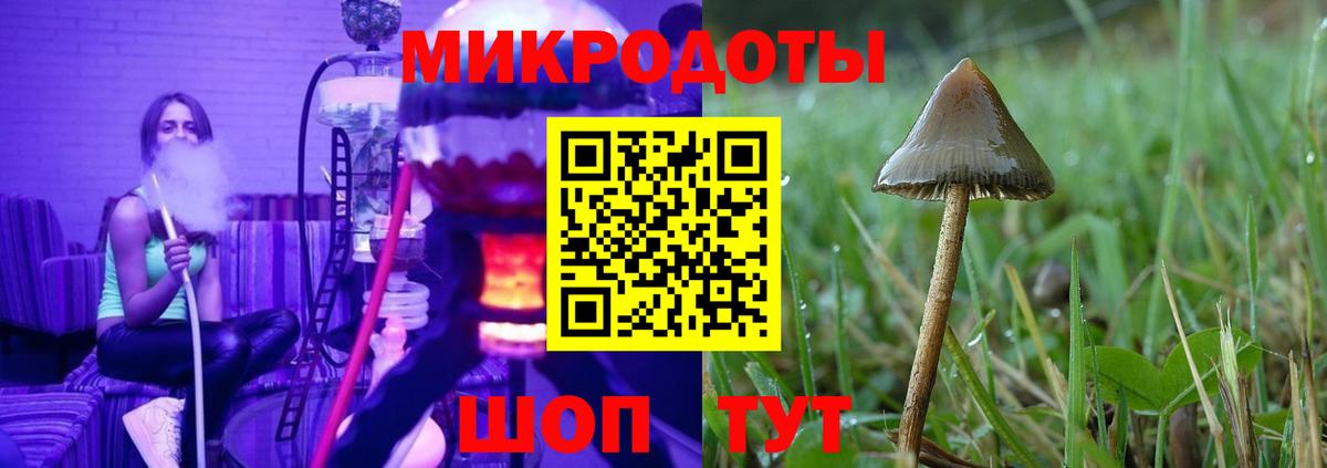 наркотики  Псилоцибиновые грибы Psilocybine cubensis  Вход с VPN  Кумертау 